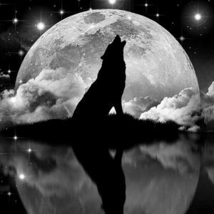 Meet your Posher, Eddy